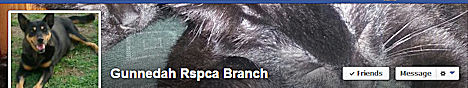 Gunnedah RSPCA Branch