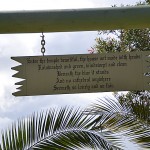 Open Air Cathedral, Bexhill