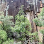 Sawn Rocks, Mount Kaputar National Park
