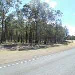 Kawasaki Vulcan Nomad Day Ride_Wollombi Road