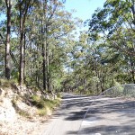 039_Vulcan Nomad Day Ride_Mount Sugarloaf Road