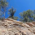 Kawasaki Vulcan Nomad Day Ride_Wollombi Road