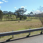 Kawasaki Vulcan Nomad Day Ride_Wollombi Road