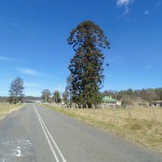 Kawasaki Vulcan Nomad Day Ride_Wollombi Road