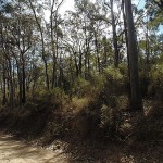 012_Kawasaki Vulcan Nomad Day Ride _ Werakata National Park