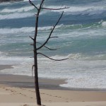 Kawasaki Vulcan Nomad_Frazer Beach Day Ride_Birdie Beach