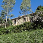 Kawasaki Vulcan Nomad_Paterson and Morpeth Day Ride_Morpeth