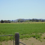 Kawasaki Vulcan Nomad_Paterson and Morpeth Day Ride_Lorn