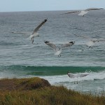 Norah Head Day Ride_Norah Head