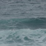 Norah Head Day Ride_Norah Head