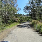 Lostock Dam Day Ride_Paterson River Road