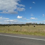 Salamander Bay Day Ride_Nelson Bay Road