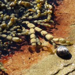 Dudley Beach Day Ride_Dudley Beach