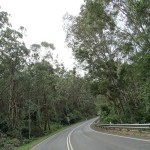 Dudley Beach Day Ride_George Booth Drive