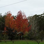 Just A Ride_Day Ride_Mr Faulks Road