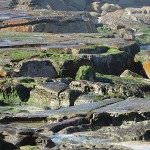 Birdie Beach Day Ride_Birdie Beach