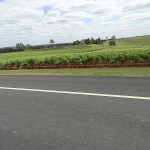 Inland Day Ride_Broke Road