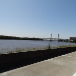 Boat Harbour Day Ride_Old Maitland Road_Hunter River