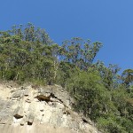 Moonee Beach Day Ride_Leggetts Drive