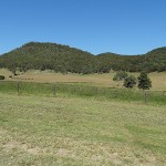 Broke Day Ride_Wollombi Road