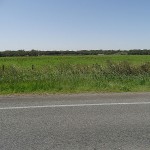 Boat Harbour Day Ride_Nelson Bay Road