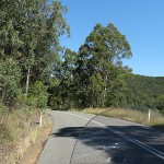 Broke Day Ride_Wollombi Road