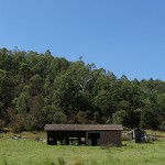 Broke Day Ride_Wollombi Road